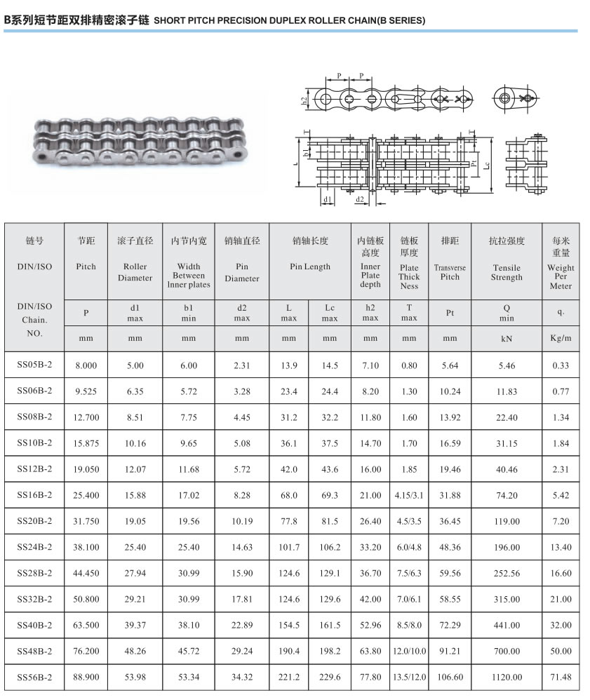 B系列短节距两排精密滚子链